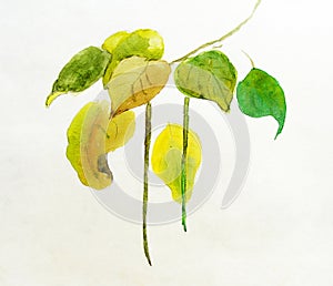 Handmade painting of leaves