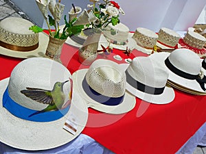 Handmade Panama Hats or Paja Toquilla hats, Ecuador photo