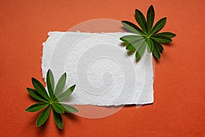 Handmade paper casket and green leaves on an orange background. Copy space, place for text