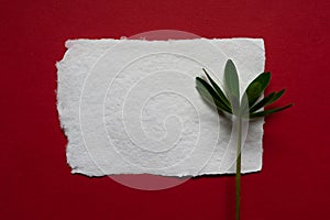 Handmade paper casket and green leaves on a red background. Copy space, place for text, minimalism concept