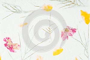 The Handmade recycled flower and leaf paper background