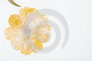 The Handmade recycled flower and leaf paper background