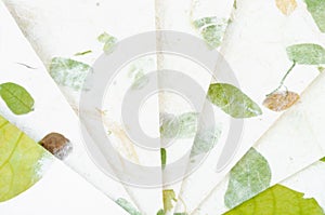 The Handmade recycled flower and leaf paper background