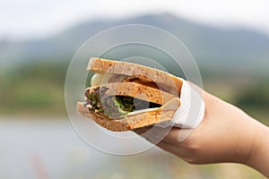 Handmade sandwish ham cheese lettuce photo