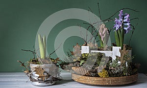 Handmade spring flower arrangement. Hyacinths in a wooden box with moss, bark and branches on a dark green background. Selective