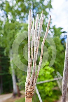 Stone age spear for hunting