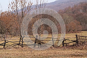 Handmade wooden fence made of thin rods