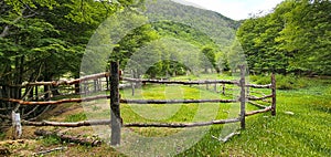 Handmade wooden fence for pasturing farm animals in a green field