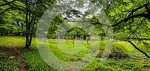 Handmade wooden fence for pasturing farm animals in a green field