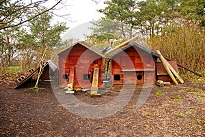 A handmade wooden house for homeless cats. Shelter for abandoned and feral cats in the park. Miedzyzdroje, Poland