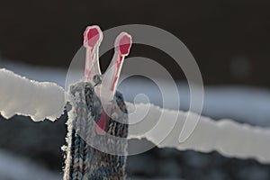 Handmade, wool socks on the clothesline