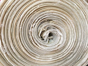 Handmaiden textile canvas in the roll background.