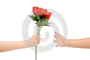 Handover red rose