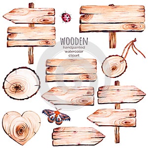 This handpainted collection of 9 watercolor wood slices clipart.