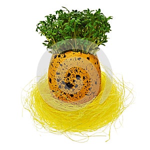 Handpainted Easter egg in multicolored patterns and decors in a