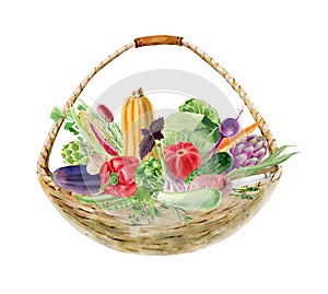 Handpainted watercolor clipart with fresh vegetables in basket