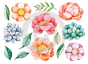 Handpainted watercolor peonies, flowers, succulents,branch and leaves. photo