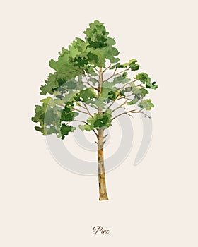 Handpainted watercolor poster with pine tree