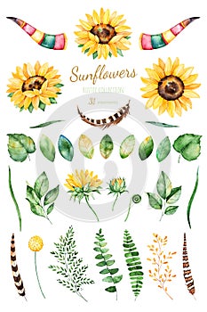 Handpainted watercolor sunflowers.31 bright watercolor clipart of sunflowers,leaves,branches,feathers,deer horns.