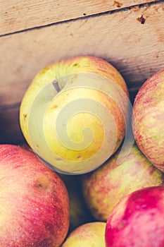 Handpicked apples