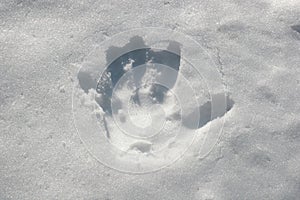 Handprint in the snow