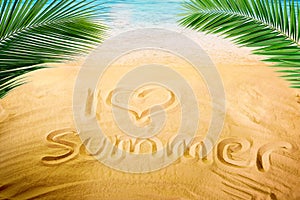 Handrawed Summer sign on sand beach with sun oranges palm leaf and ocean