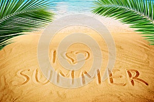 Handrawed Summer sign on sand beach with sun oranges palm leaf and ocean