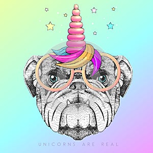 Handrawing animal bulldog wearing cute glasses with unicorn horn. T-shirt graphic print.