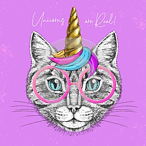 Handrawing animal cat wearing cute glasses with unicorn horn. T-shirt graphic print.