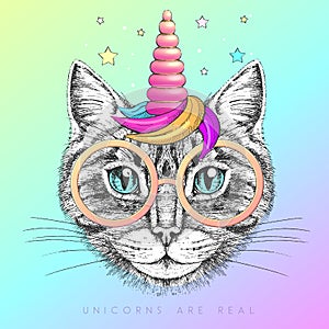 Handrawing animal cat wearing cute glasses with unicorn horn. T-shirt graphic print.