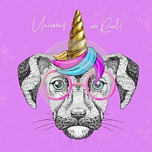 Handrawing animal dog wearing cute glasses with unicorn horn. T-shirt graphic print. photo