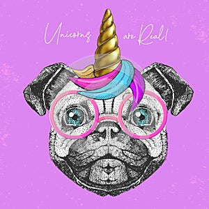 Handrawing animal dog wearing cute glasses with unicorn horn. T-shirt graphic print. photo
