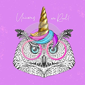 Handrawing bird owl wearing cute glasses with unicorn horn. T-shirt graphic print.