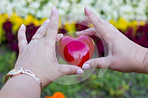 Hands for adults and children with red heart, health care, love, organ donation