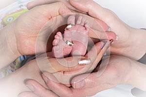 Hands of adults hold small baby feet