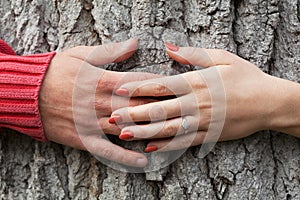 Hands around the tree