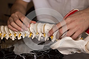 Hands on artificial spine