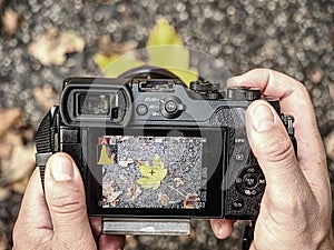 Hands of artist working with modern camera. Artist create