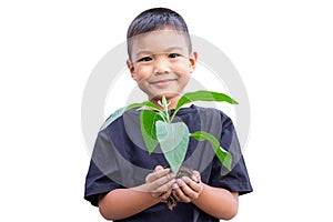 Hands Asian child boy holding a little green plant with soil.