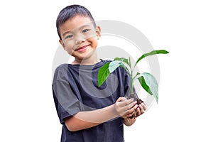Hands Asian child boy holding a little green plant with soil. Growing tree.