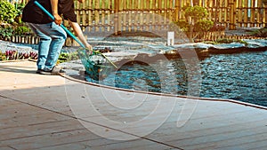 Hands of Asian woman in black shirt wearing jean using dip-net to scoop up fallen leaves and rubbish in koi fish pond in garden.