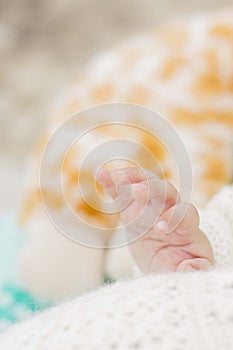 Hands of a baby`s innocence photo