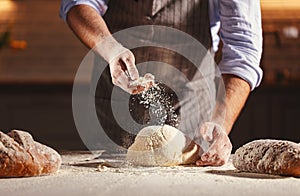 Hands of baker`s male knead dough