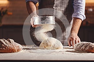 Hands of baker`s male knead dough