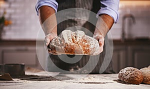 Hands of baker`s male knead dough