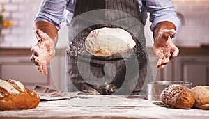 Hands of baker`s male knead dough