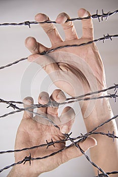 Hands in barbed wire