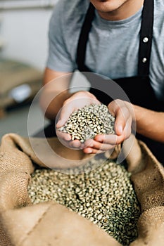 Hands of barrista putting green unroasted coffee beans into sack at factory