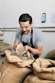 Hands of barrista putting green unroasted coffee beans into sack at factory