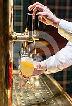 Hands of bartender pour into glass draught light beer from tap in bar